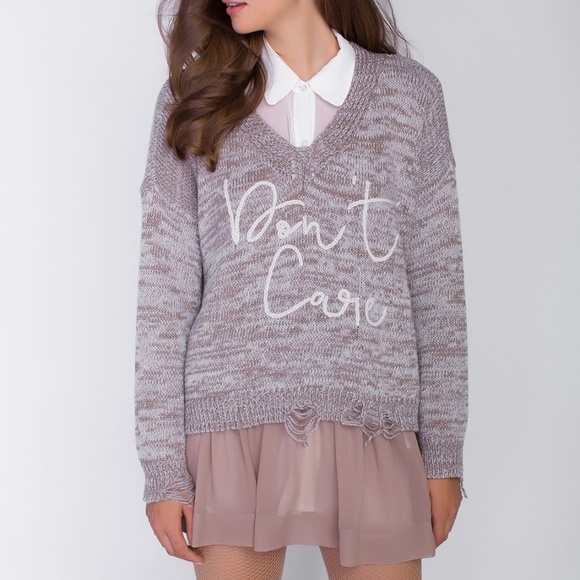 Wildfox Sweaters - Wildfox Don't Care Cambridge Sweater NWT SZ Small